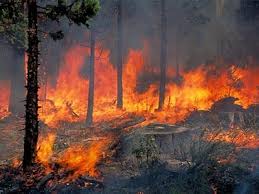 Δασοσ , ηλεια , φωτια. Toyrkoi Praktores Ebalan Tis Fwties To 2007 Sthn Hleia Fire Gr Fire Rescue Pedia