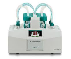 Image result for Indigofera erythrogramma