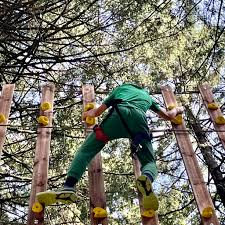 Au Fil des Arbres