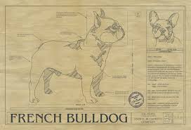 Maybe you would like to learn more about one of these? French Bulldog Drawing Blueprint Art Bulldog Wall Art Blueprint Abp