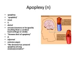 Apoplexy Meaning Vocabulary Flash Cards Vocabulary Cards Vocabulary