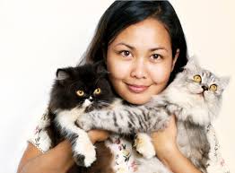 Wondering how many kittens your cat can be expecting? Learn About The Persian Cat Breed From A Trusted Veterinarian