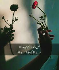 Urdu quotes islamic quotes quran posts nature flowers photography beautiful black. Pin By Abdul Rehman On Urdu Shayari Ø§Ø±Ø¯Ùˆ Ø´Ø§Ø¹Ø±ÛŒ Plants Poetry Save