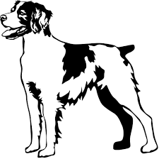 Outre son caractère posé, calme, il ravira. 4pfotenshop Hundewarnschilder Und Kratzfeste Autoaufkleber Mit Hundemotiven Autoaufkleber Kontur Folienaufkleber Epagneul Breton