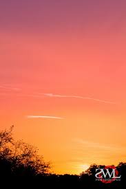 Sunset Color Palette Peach As Base Color Orangey Yellow Secondary Dusty Purple Tertiary Wedding Color Schemes Summer Summer Wedding Colors Wedding Colors