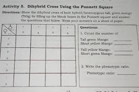 What are the phenotypes (descriptions) of rabbits 5. Activity 5 Dihybrid Cross Using The Punnett Square Directions Show The Dihybrid Cross Of Both Hybrid Heterozygous Tall Green