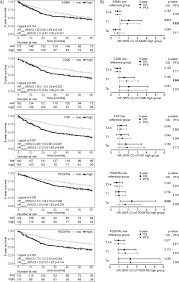 Your healthcare provider will examine you. Fibroblasts In Urothelial Bladder Cancer Define Stroma Phenotypes That Are Associated With Clinical Outcome Scientific Reports