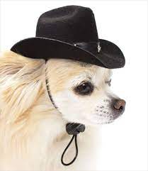 Cowboy Hats For Dogs Dog Pajamas Dog Design Cowboy Hats