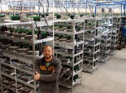 Welcome to my btc mining factory review. Mining Bitcoin Ethereum Home Let The Beast Go Hacker Noon