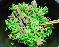 Chính vì vậy đây chắc chắn sẽ là mô hình trồng trọt hiệu quả giúp bà con cải thiện. Hoa Thien Ly Thuá»'c Quy Tá»« Gá»'c Tá»›i Ngá»n Khong Pháº£i Ai CÅ©ng Biáº¿t