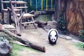 Zoo negara harga tiket diskaun 10 tarikan paling best 2017. Cara Pergi Ke Zoo Negara Malaysia