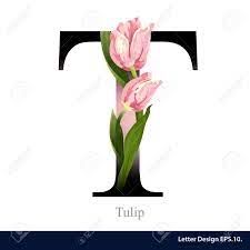 If you think back on how much innovation has occ. Letter T Vector Alphabet With Tulip Abc Concept Type Typography Design Royalty Free Cliparts Vectors And Stock Illustration Image 45005359