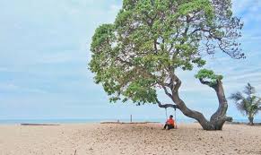 Maybe you would like to learn more about one of these? 12 Pantai Di Lampung Harga Tiket Masuk Lokasi 2020