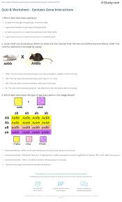 Set up a punnett square using the following information: Worksheet Multiple Allele Crosses Unit 3 Genetics Answer Key