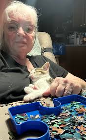 Protecting puzzles from cats while sleeping?