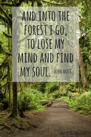 Pin On Plants Flowers Garden