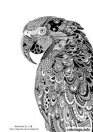 pin by heather woodman on coloriages zentangle drawings art tangle coloriage de voiture stock