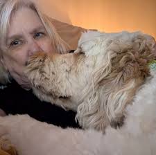 What happened to the Vermilion Fish and Game?