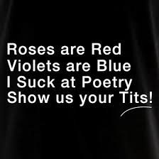 Roses Are Red Violets Are Blue, I Suck At Poetry, Show Us Your Tits! Long  Sleeve T Shirt By CharGrilled