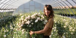 Découvrez nos sélections fête des mères sur galerieslafayette.com et nos services associés. Jardins De Metis Reford Gardens Publicacoes Facebook