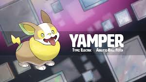 Yamper Pokemon Sword Shield Marriland Com A collection of the top 42 pokemon wallpapers and backgrounds available for download for free. sword shield marriland com