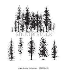 Conifers Sketch Set Hand Drawing Graphic Forest Isolated Vector Illustration Silhouette Elements Black And Forest Tattoos Tree Tattoo Designs Forest Drawing
