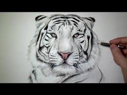 Comment Dessiner Un œuf Au Plat Realiste Tutoriel Youtube Comment Dessiner Un Tigre Peinture Tigre Dessin Tigre