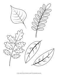 Pack these spring printables into a picnic basket for a family outing. Free Printable Fall Leaves Coloring Pages Mrs Merry