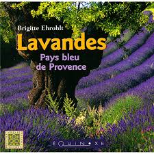 Lavandes, pays bleu de Provence
