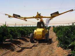 Pruning tree roots requires that you cut one of two important components to your tree's root system: Citrus Pruning Agriculture And Food