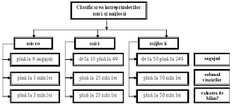 Criteriul definitoriu constant folosit la clasificarea întreprinderilor mici şi mijlocii în scopuri statistice. Https Ibn Idsi Md Sites Default Files Imag File 6 16 Criterii 20de 20definire 20a 20businessului 20mic 20si 20mijlociu 20ca 20categorie 20economica Pdf
