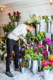 Pin En Plants Flowers