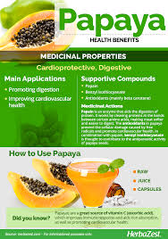 Herbazest Discover The Health Benefits Of Papaya One Of The Most Popular Tropical Fruits It Con Fruit Health Benefits Fruit Benefits Papaya Health Benefits
