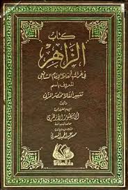 تحميل كتاب الزاهر في غرائب ألفاظ الإمام الشافعي المعروف باسم تفسير ألفاظ مكتبة نور لتحميل الكتب الإلكترونية