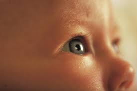 Image result for infant eyes