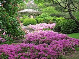 21 Of The World S Most Magnificent Gardens Tripstodiscover Azaleas Garden Woodland Garden Chicago Botanic Garden