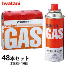 イワタニ カセットボンベ 48本セット カセットガス カセットガスボンベ Iwatani 岩谷産業 Cb 250or Pe03