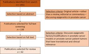 A description of the cells. Recent Advances In Epigenetic Biomarkers And Epigenetic Targeting In Prostate Cancer European Urology