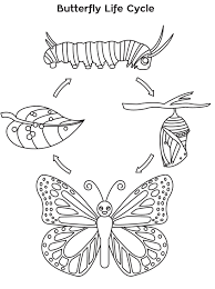 You are viewing some monarch caterpillar sketch templates click on a template to sketch over it and color it in and share with your family and friends. Coloring Pages Butterfly Life Cycle Coloring Home