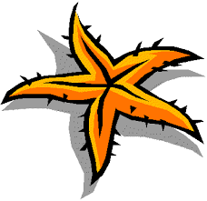 Children S Bible Ministry A Previous Message The Starfish