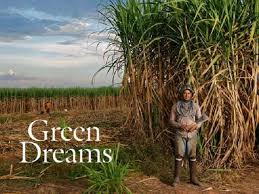 You can use fuelcheck to find the best deal on e10 in your local area. Sugarcane Ethanol Brazil Is Ready To Share Their Sweet Biofuel Technology