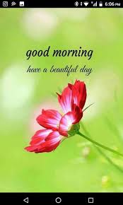 Good Wishes For Morning In 2020 Good Morning Images Good Morning Nature Latest Good Morning Images