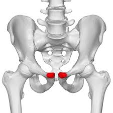 You may or may not feel pain in the lower back also. Treatments For Groin Pain In Women Caring Medical Florida