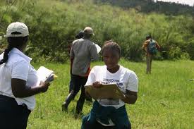 Image result for Rytigynia bagshawei