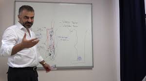 Prof Dr Ahmet Akgul Varis Yarasi Bakimi Ve Pansumani