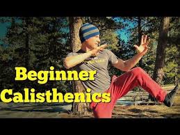 Beginner Bodyweight Calisthenics Core Workout Basic Beginner Exercise Beginner Workout Program Workout For Beginners Calisthenics