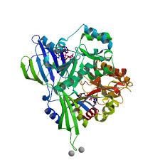 Rcsb Pdb 1st0 Structure Of Dcps Bound To M7gpppg