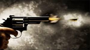 Greater Noida : दुल्हन के भाई ने की हर्ष फायरिंग, बारात में शामिल युवक को  लगी गोली, फिर... - Firing At Wedding Celebration In Greater Noida One  Injured Lclm - Aajtak