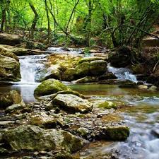 62 Beauty Of Nature Poems Beautiful Poems About Nature Nature with plants and leaves are seen. 62 beauty of nature poems beautiful