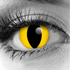 Manufactured in accordance with the eu cosmetics directive. Yellow Cat Eye Contact Lenses By Gothika Vampfangs